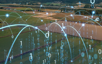 Technology and Digital Solutions